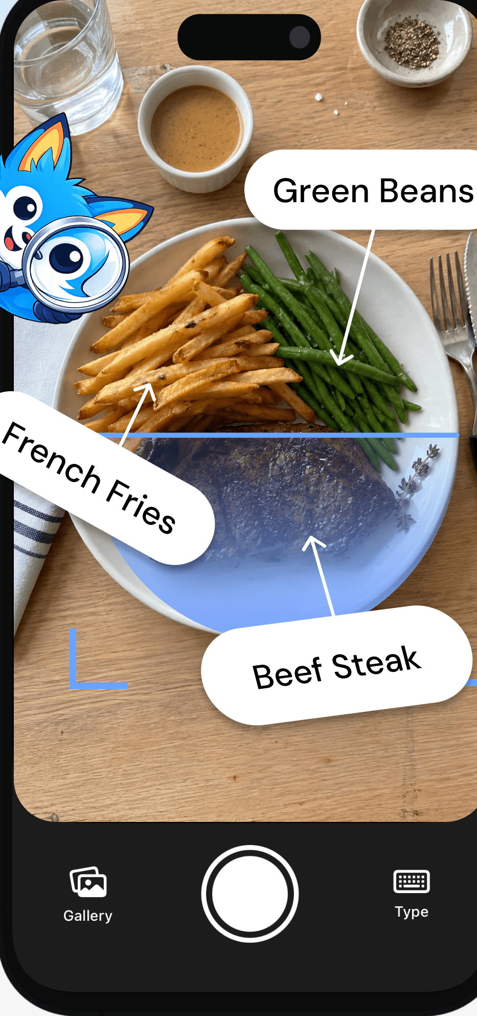 Meal Capture screen